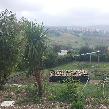 Le Querce Bed & Breakfast Ancona Bagian luar foto