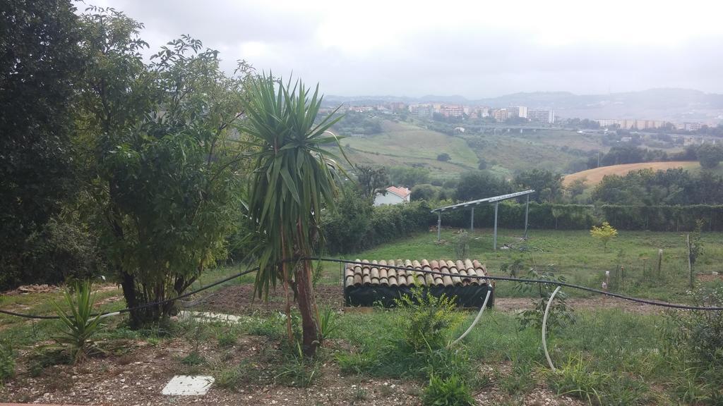 Le Querce Bed & Breakfast Ancona Bagian luar foto