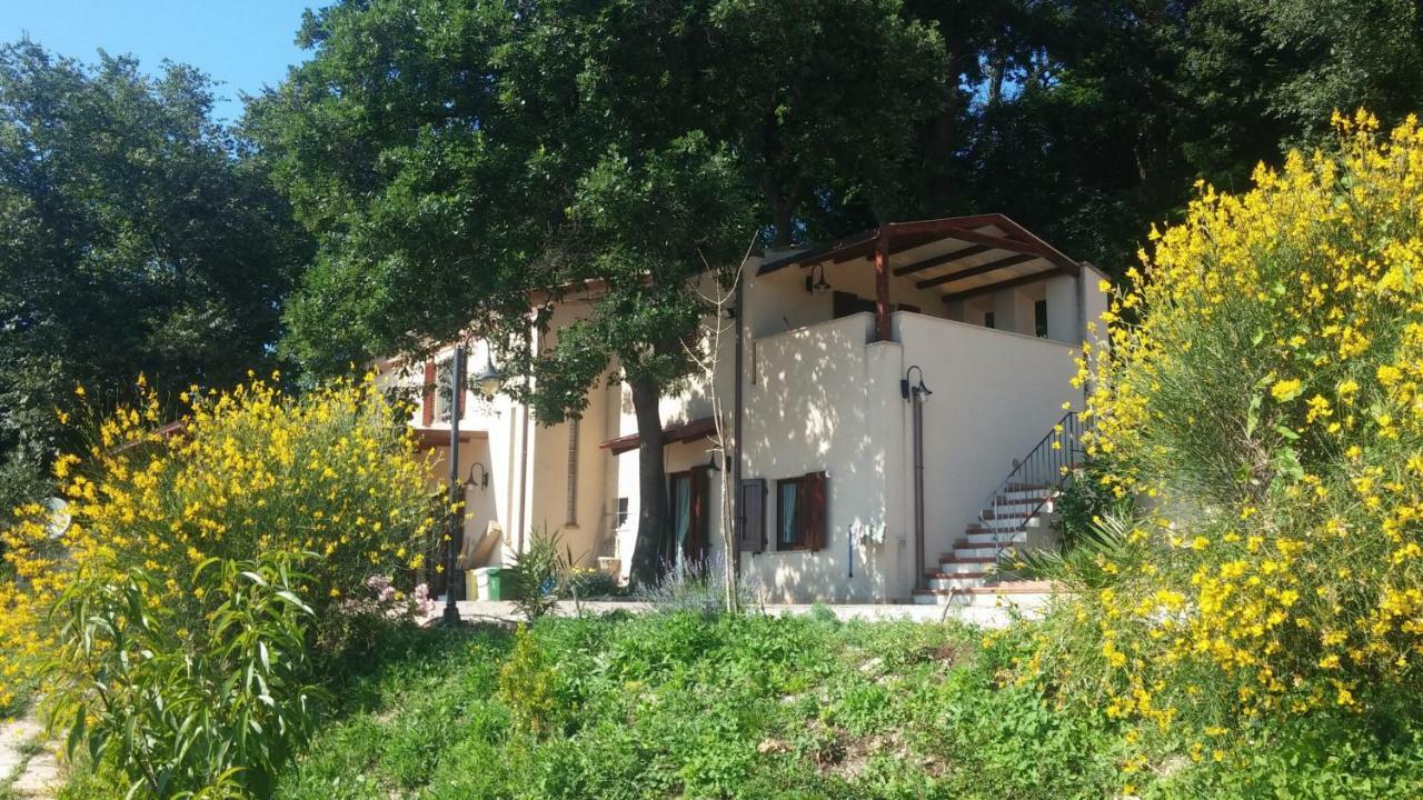 Le Querce Bed & Breakfast Ancona Bagian luar foto